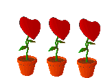 vaso09.gif (8014 bytes)
