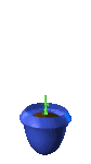 vaso10.gif (23945 bytes)