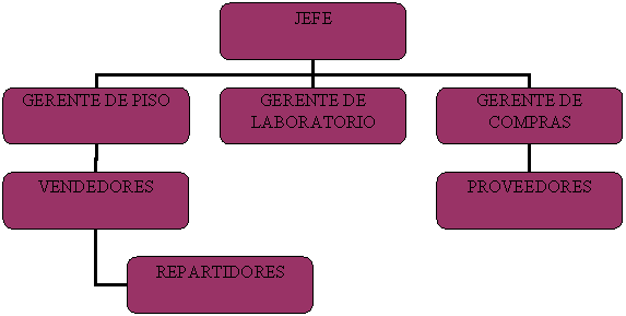 Organigrama