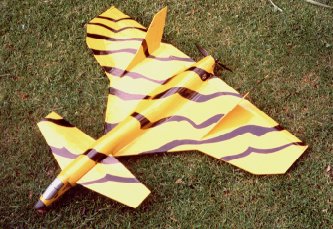 Photo of Experimental Canard