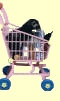 R&R's shopp'n cart