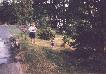 wf5k9917.jpg