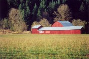 Barn in Vernonia