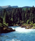 Deadline Falls - near Roseburg, OR