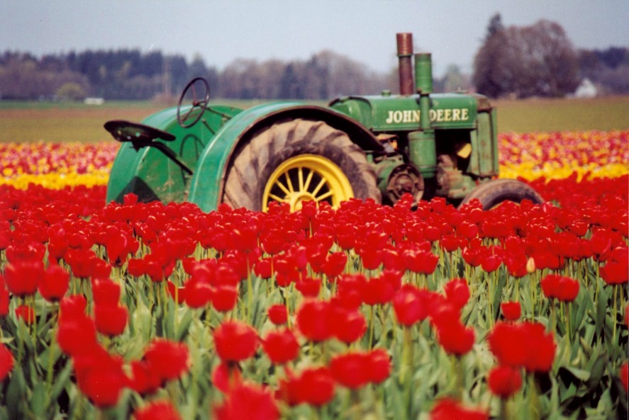 Click image to go back