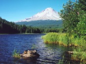 Trillium Lake & Mt. Hood
