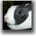 Clover the Rabbit icon