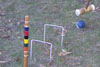 Croquet wickets and stake