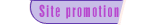 Web Site Promotions