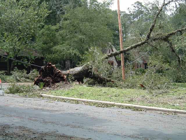 Think those power lines under there are important?