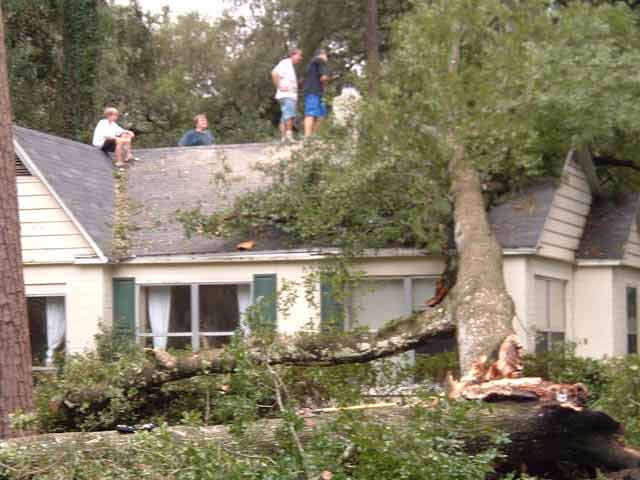 On the street behind Vince's house