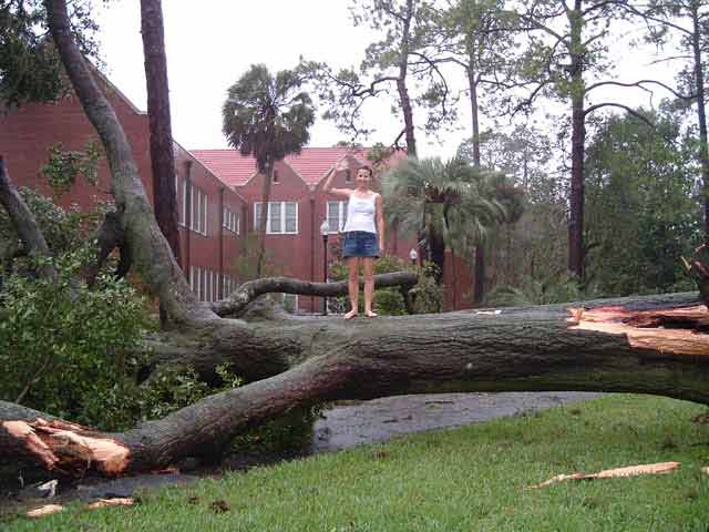 Yes, that's my roommate on that tree