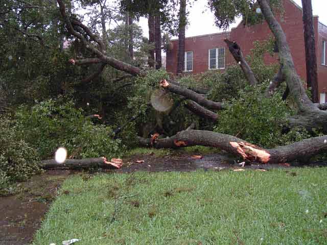 Now THAT'S wind!