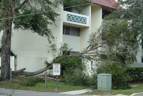 Poor fence...
