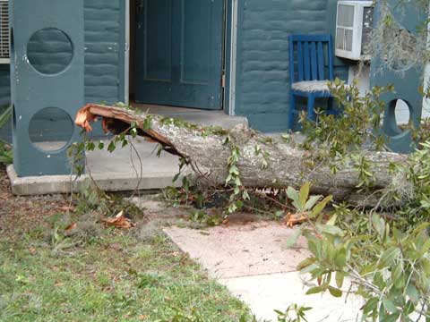 That is a big branch, 6 inches from their porch. Right across the street, near where the fireworks hit the car. Oh, and they don't have power. We got lucky.