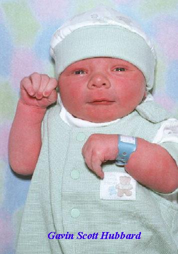 Gavin