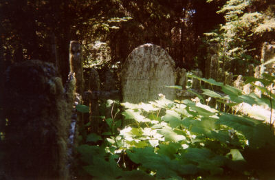 ISLE ROYALE CEMETERY