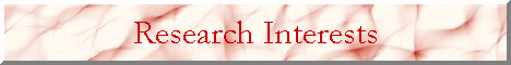 Research Interests