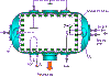 wpe75.gif (8681 bytes)