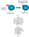 wpe4.gif (6110 bytes)