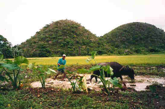 Farmers still struggle to earn a living