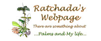 Ratchada's Page