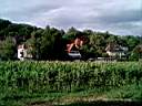 cornfield_houses.jpg