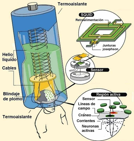Biomagnetismo m�dico.&nbsp;Medici�n de los campos electromagn�ticos