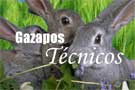 Gazapos