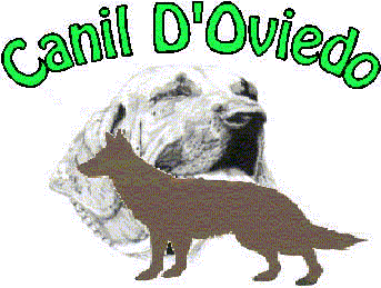 logo canil d'oviedo