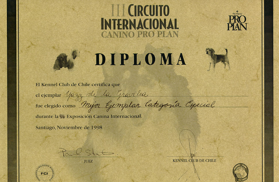 diploma
