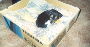 Baby Sammy