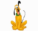 Sammy