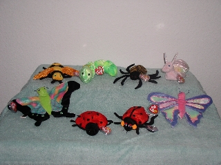 Insects