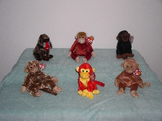 Primates