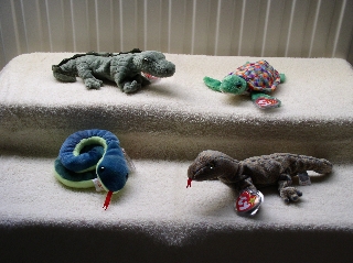 Reptiles