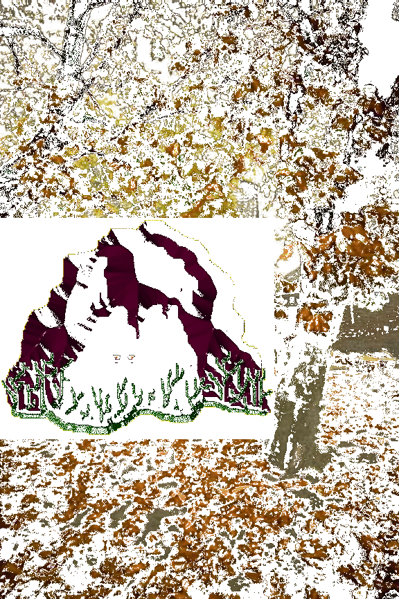 In the woods