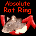 Absolute Rat Ring