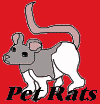 Pet Rats Ring