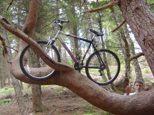 Just what every resposible cyclist does to their beloved bike!