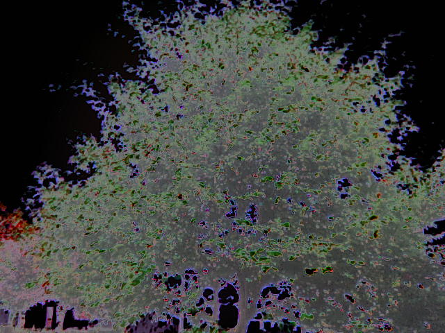 Solar Tree