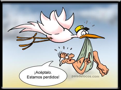 chiste
