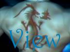 View entries in my Dreambook