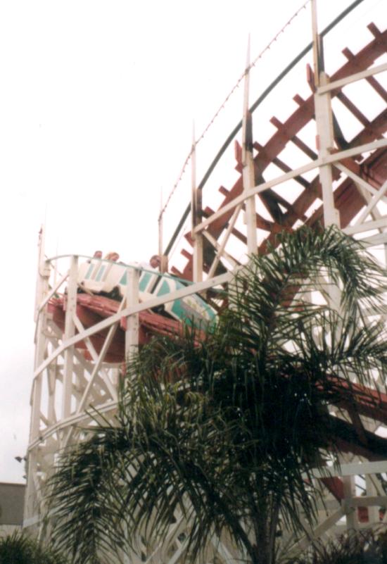 Belmont-2-01-Turn-with-palm.jpg (700169 bytes)