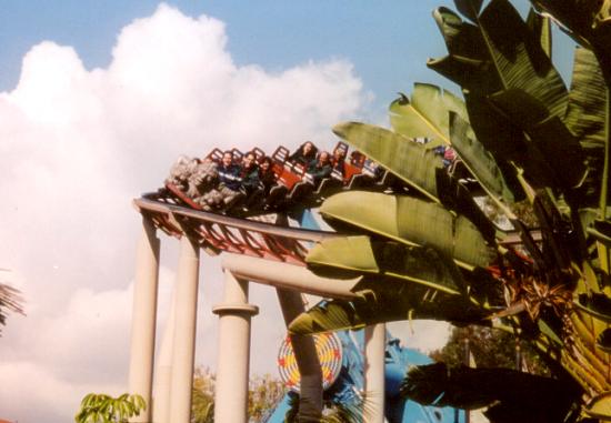 Knotts-2-01-Jaguarfirst-drop.jpg (848422 bytes)