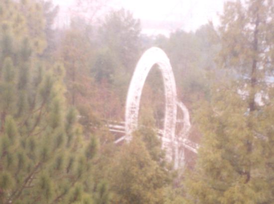 SFMM-2-01-Revolution-Loop-buried-in-trees.jpg (509801 bytes)