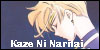 The Official Kaze Ni Nari Tai Fanlisting