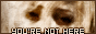 You're Not Here Fanlisting