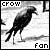 Crows Fanlisting
