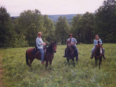 Allegany